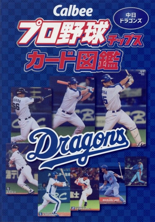 Calbeeプロ野球チップスカ (A6)