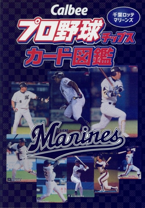 Calbeeプロ野球チップスカ (A6)