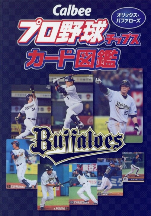 Calbeeプロ野球チップスカ (A6)