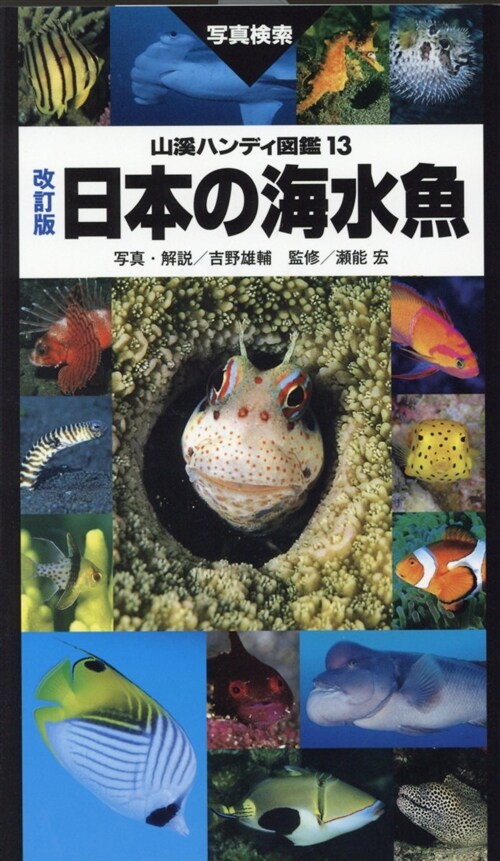 日本の海水魚 (A5)