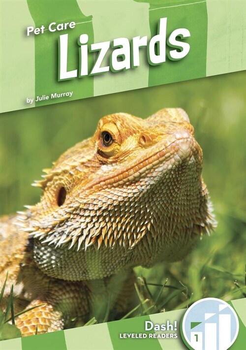 Lizards (Paperback, Reprint)