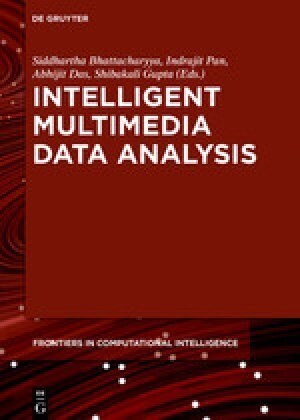 Intelligent Multimedia Data Analysis (Hardcover)