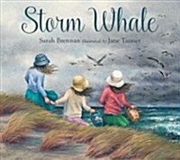 Storm Whale (Hardcover)