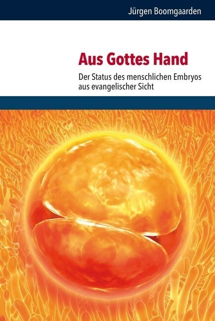 Aus Gottes Hand: Der Status Des Menschlichen Embryos Aus Evangelischer Sicht (Hardcover)