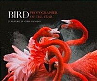 Bird Photographer of the Year: Collection 3 (Hardcover)