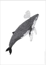 혹등고래 포스터 (지관통 포장)