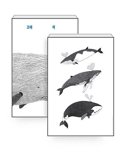 [세트] 고래 책 + 밍크고래, 혹등고래, 북극고래 포스터 (지관통 포장)