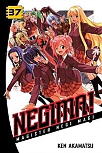 Negima! 37: Magister Negi Magi (Paperback)