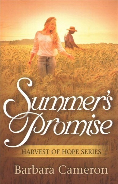 Summers Promise (Paperback)