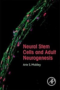 Neural Stem Cells and Adult Neurogenesis (Paperback)