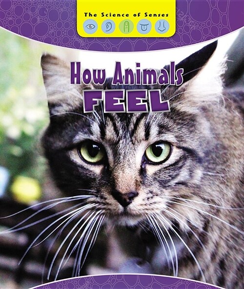 How Animals Feel (Library Binding)