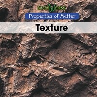Texture (Paperback)