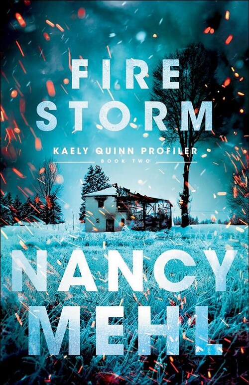 Fire Storm (Paperback)