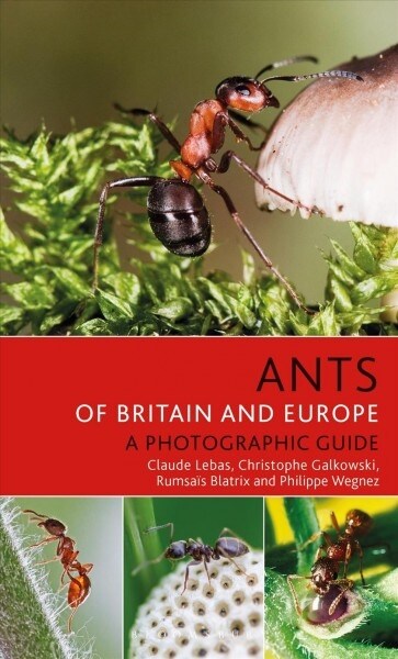 Ants of Britain and Europe (Paperback)