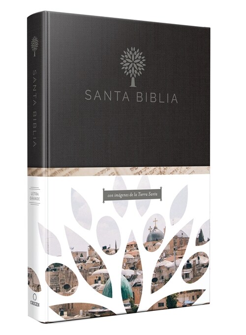 Biblia Reina Valera 1960 Tama? Grande, Letra Grande. Tapa Dura / Rvr 1960 Holy Bible in Spanish. Large Size, Large Print, Hard Cover. (Hardcover)