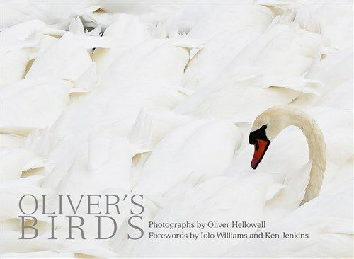 Olivers Birds : By Oliver Hellowell (Hardcover)