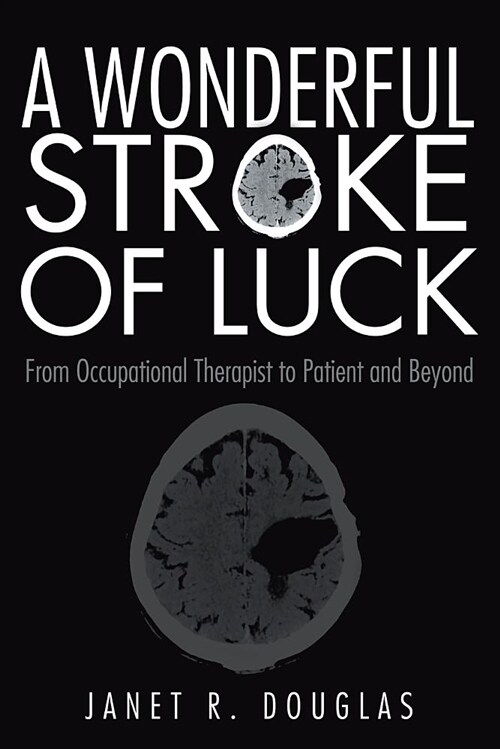 A Wonderful Stroke of Luck: From Occupational Therapist to Patient and Beyond (Paperback)