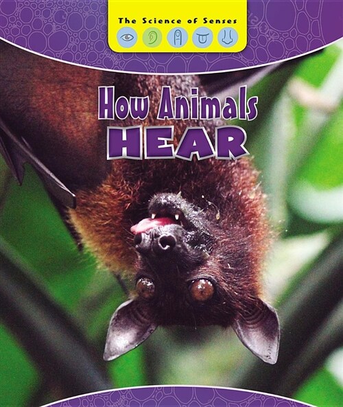 How Animals Hear (Paperback)