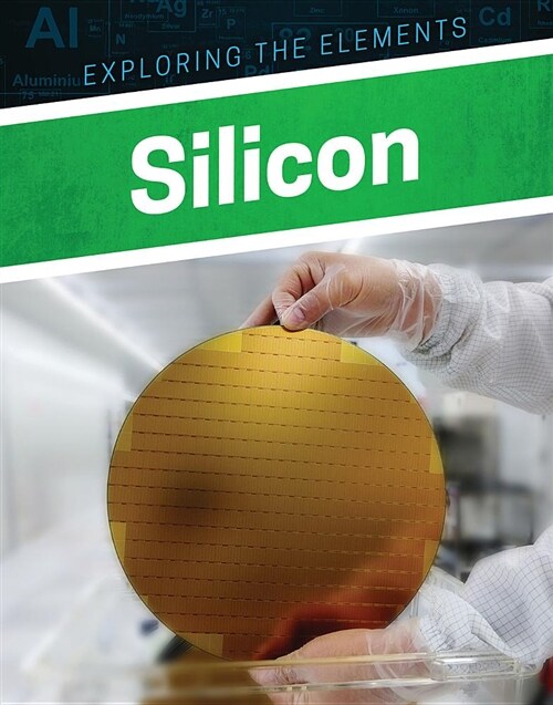 Silicon (Paperback)