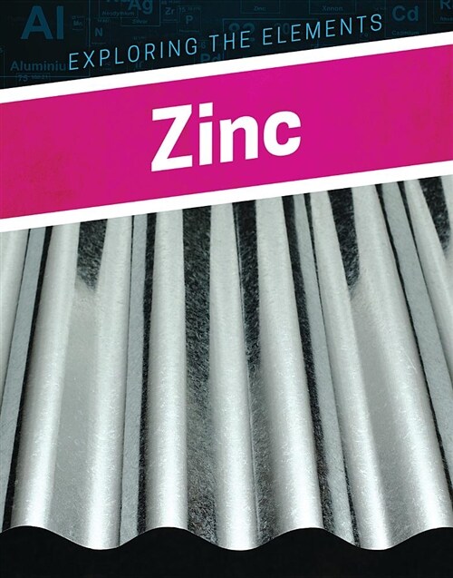 Zinc (Paperback)
