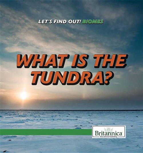 What Is the Tundra? (Paperback)