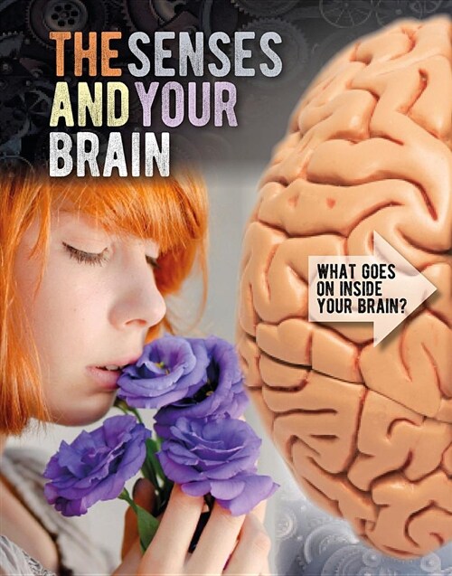 The Senses and Your Brain (Paperback)