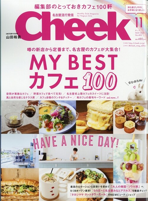 CHEEK 2018年 11月號 (A4ヘ)