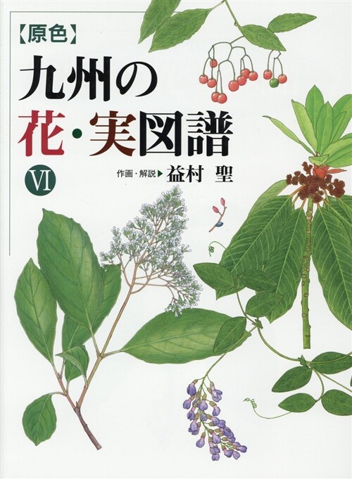 〈原色〉九州の花·實圖譜 (6) (B5)