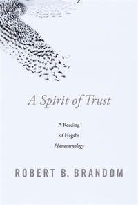 A Spirit of Trust: A Reading of Hegels Phenomenology (Hardcover)