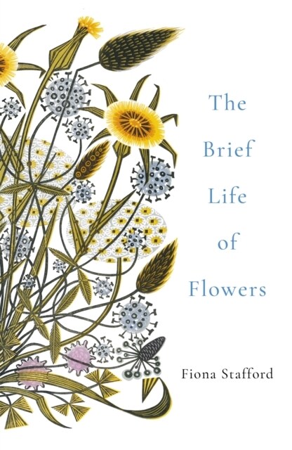 The Brief Life of Flowers (Paperback)