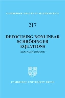 Defocusing Nonlinear Schrodinger Equations (Hardcover)