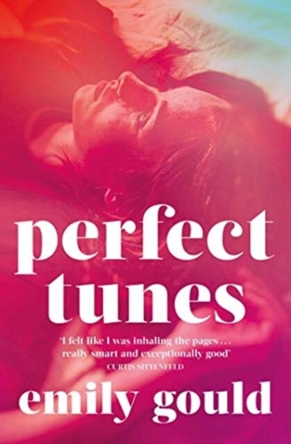 Perfect Tunes (Paperback)