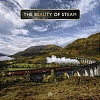 Beauty Of Steam (Hardcover)