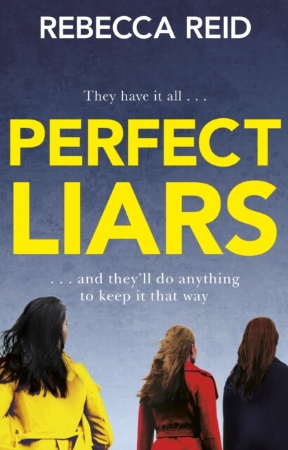 Perfect Liars (Paperback)