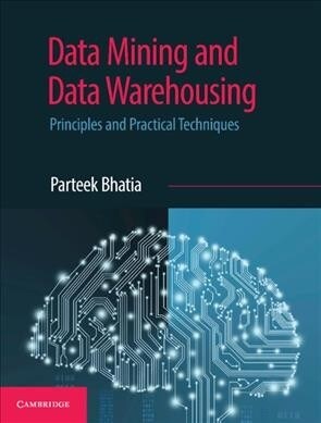 Data Mining and Data Warehousing : Principles and Practical Techniques (Paperback)