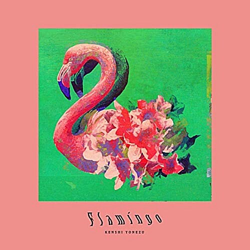 Flamingo / TEENAGE RIOT(フラミンゴ盤 初回限定)(DVD付) (CD)