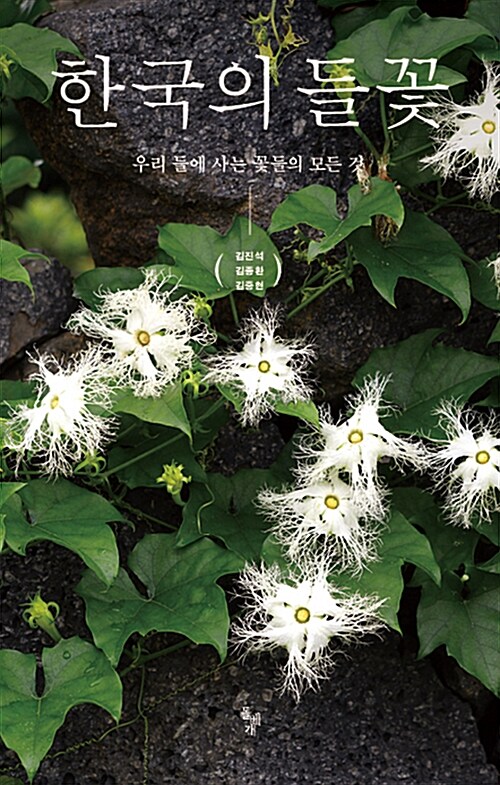 한국의 들꽃 : 우리 들에 사는 꽃들의 모든 것