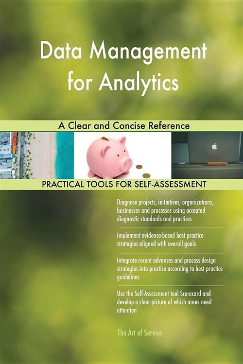 Data Management for Analytics a Clear and Concise Reference (Paperback)