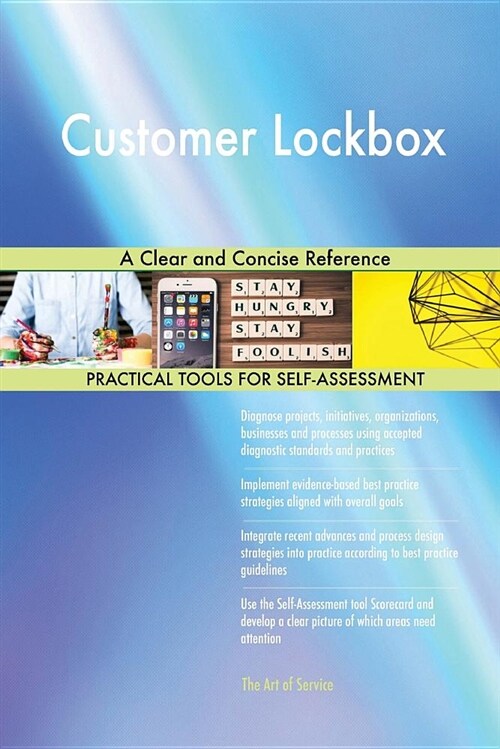 Customer Lockbox a Clear and Concise Reference (Paperback)