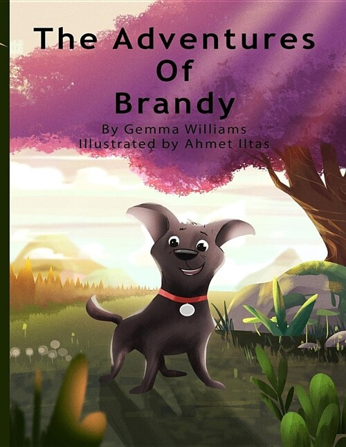 The Adventures of Brandy (Paperback)