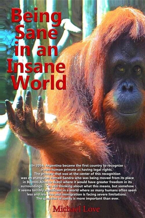 Being Sane in an Insane World: An Invitation to Join in (Paperback)