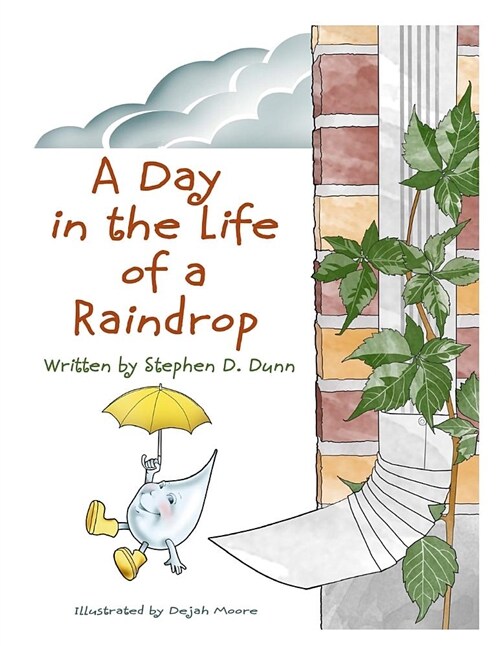 A Day in the Life of a Raindrop (Paperback)