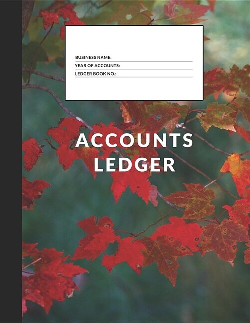 Accounts Ledger: Simple Accounts Ledger for Home or Business (Paperback)