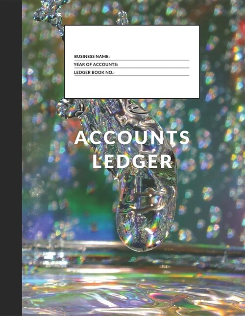 Accounts Ledger: Simple Accounts Ledger for Home or Business (Paperback)