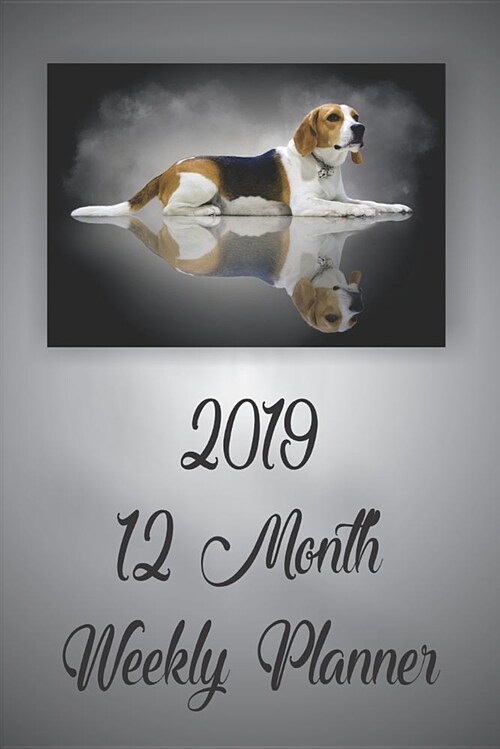 2019 12 Month Weekly Planner: 1 Year Daily/Weekly/Monthly Planner, January 2019-December 2019, Beagle Dog Cover (Paperback)