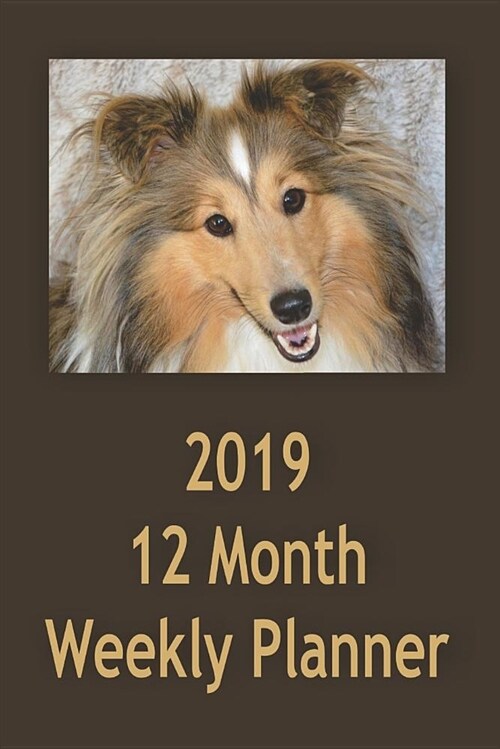 2019 12 Month Weekly Planner: 1 Year Daily/Weekly/Monthly Planner, January 2019-December 2019, Shetland Sheep Dog Cover (Paperback)