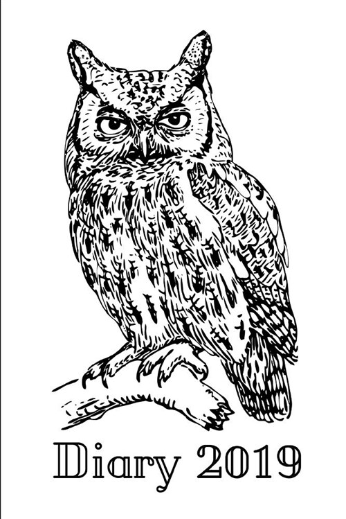 Diary 2019: Colour Your Own Owl Cover (Paperback)