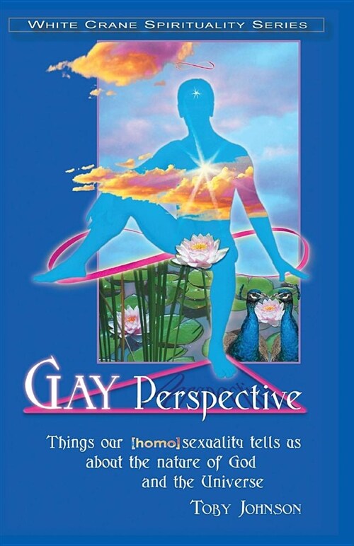 Gay Perspective: Things Our [homo]sexuality Tells Us about the Nature of God and the Universe (Paperback)