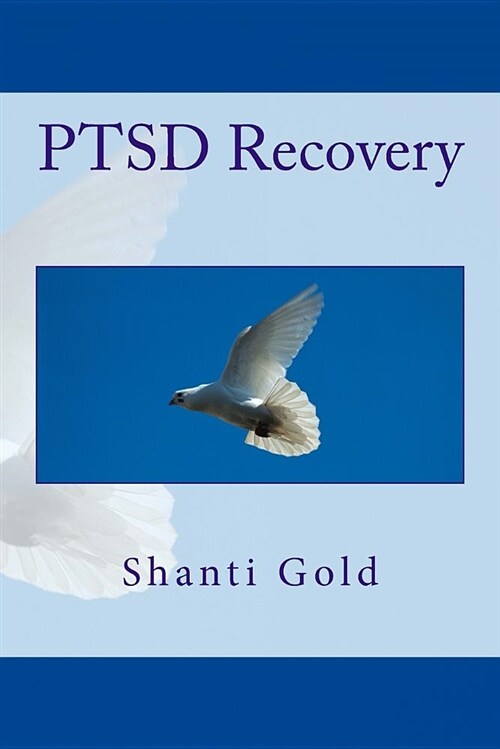 Ptsd Recovery (Paperback)