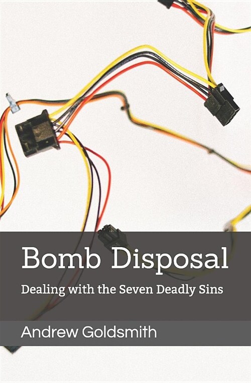 Bomb Disposal: Dealing with the Seven Deadly Sins (Paperback)